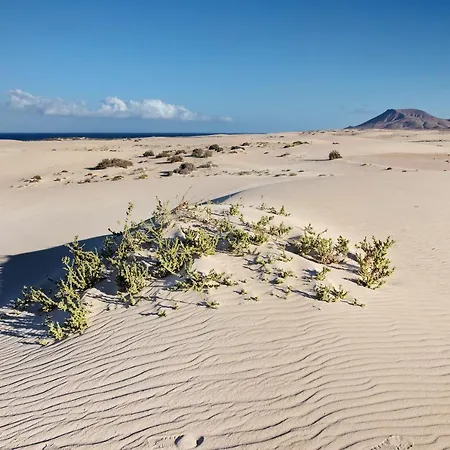 Apartament Fuentes Corralejo